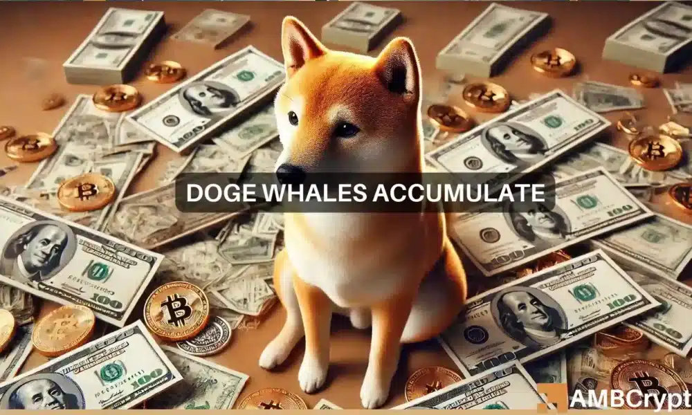 Apuestas en Dogecoin: ¿Por qué DOGE es la favorita de las ballenas este mes?