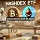 Bitcoin, Ethereum y más: todo sobre el nuevo ETF de criptomonedas de Hashdex