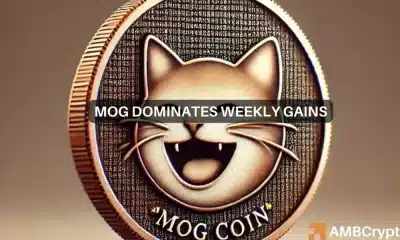 La moneda Mog aplasta el 100% de las ganancias en 7 días: ¿Continuará la carrera alcista de MOG?