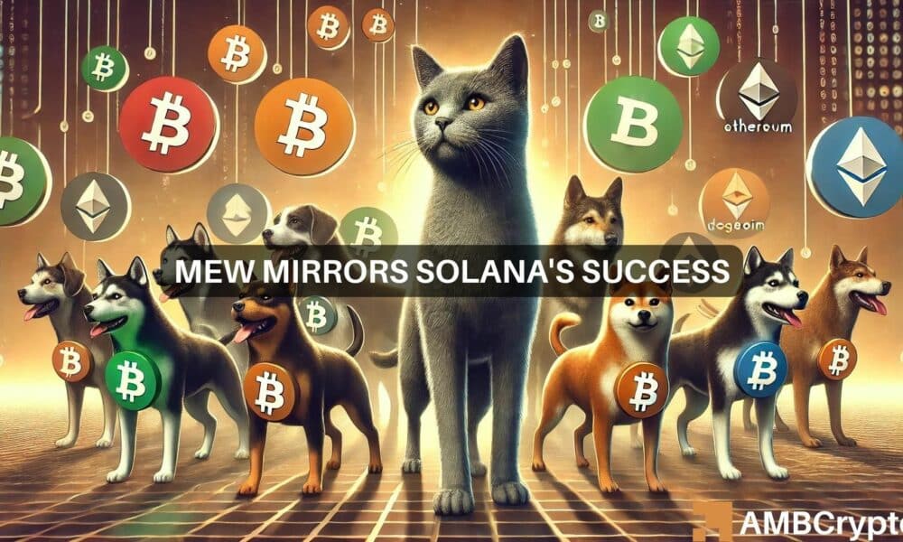 Por qué MEW de Solana podría ser tu principal elección de memecoin esta semana