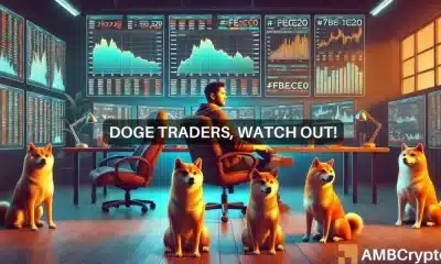 Evaluación de los próximos pasos de los traders de Dogecoin si el precio de Memecoin cae de esta manera