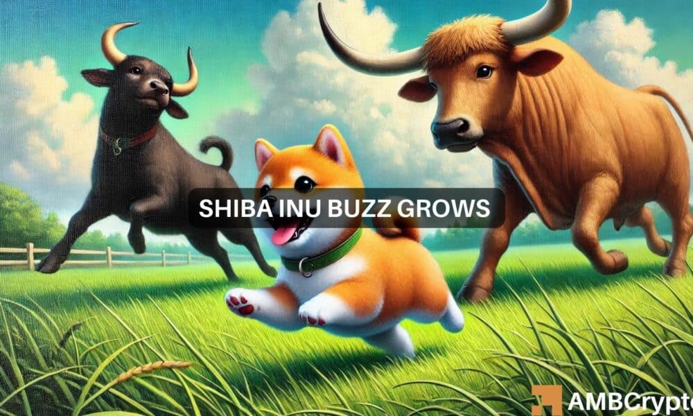 Comprobando la dinámica del mercado de Shiba Inu: problemas de volumen frente al impulso de Bitcoin