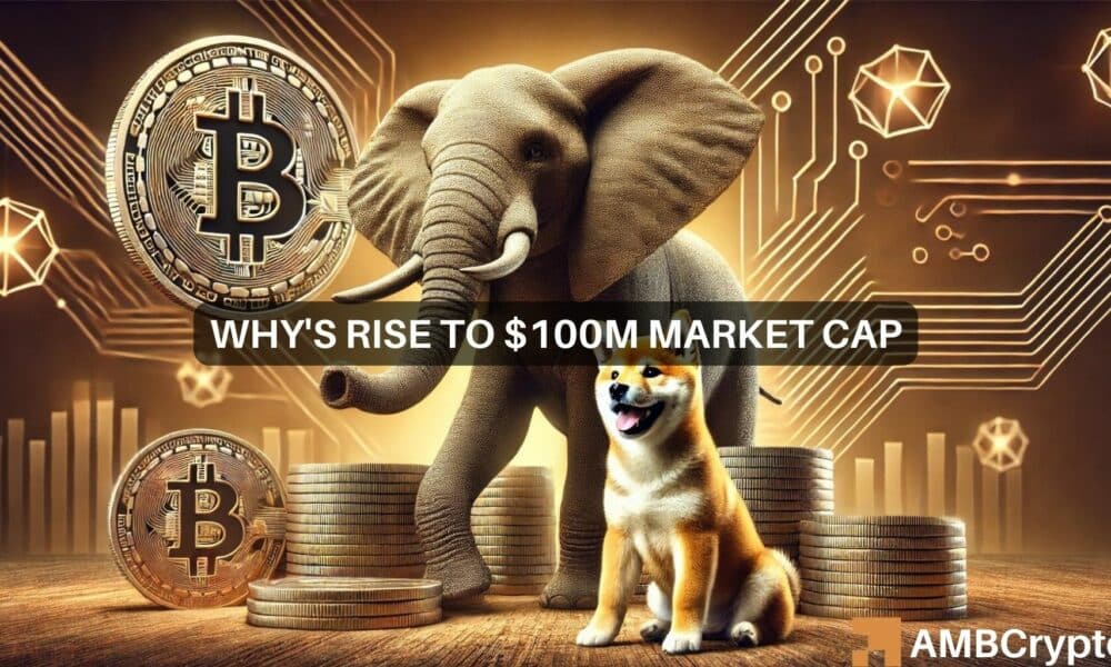 ¿POR QUÉ memecoin?: ¿Puede ser el próximo Dogecoin después de alcanzar los $100 millones?