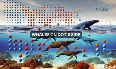 Cómo y por qué las ballenas de DOT dictaron el aumento del 9% del precio de las altcoins