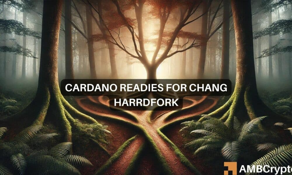 Hardfork Chang de Cardano: ¿Un catalizador para la acción del precio de ADA?