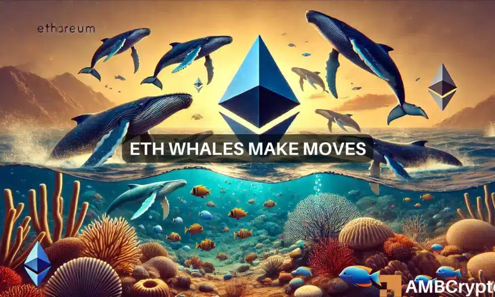 Ethereum se recupera, las ballenas se apoderan de ETH: ¿La aprobación del ETF impulsará las ganancias?