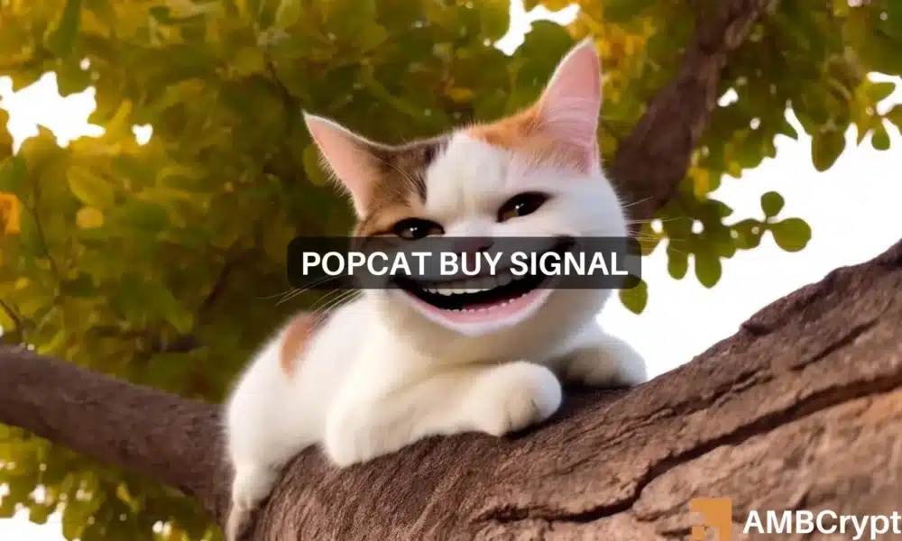 Predicción del precio de POPCAT: ¿Dónde están las oportunidades de compra ahora?