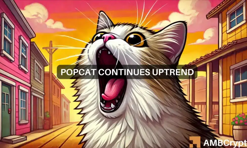 Popcat de Solana se vuelve volátil: ¿aparece una oportunidad de ganancias?