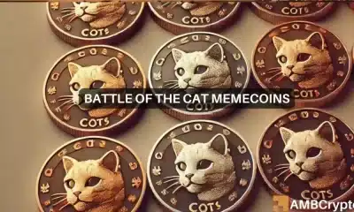 MEW vs. POPCAT: las probabilidades de un cambio radical en el sector de las memecoin son…