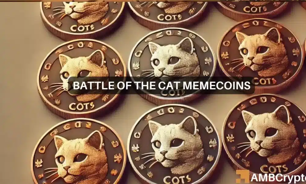 MEW vs. POPCAT: las probabilidades de un cambio radical en el sector de las memecoin son…