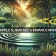 Los ejecutivos de Ripple afirman que Solana y Cardano quedaron “excluidos” del caso SEC-Binance