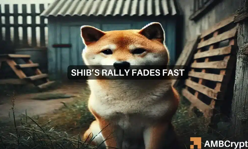 Predicción del precio de Shiba Inu: por qué los traders deberían prepararse para más pérdidas