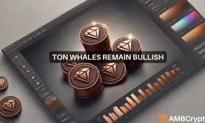 Las ballenas de Toncoin apuestan a lo grande mientras TON se acerca a su ATH
