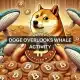 La acumulación de ballenas Dogecoin aumenta un 868%: ¿Ayudará esto al precio de DOGE?