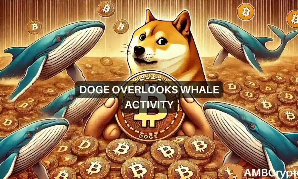 La acumulación de ballenas Dogecoin aumenta un 868%: ¿Ayudará esto al precio de DOGE?