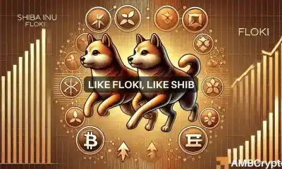 ¿Qué significa la correlación de FLOKI con Shiba Inu para su precio?