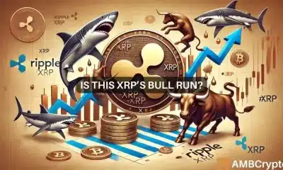 ¿Alcanzará XRP los 0,63 dólares? Cómo las ballenas y los tiburones pueden ayudar a la recuperación de la altcoin