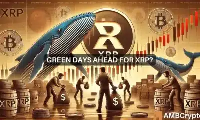 Las ballenas XRP acumulan más tokens a pesar de la caída de precios: ¿se avecina una recuperación?