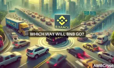 ¡Aquí están las probabilidades de la próxima reversión del precio de BNB en los gráficos!