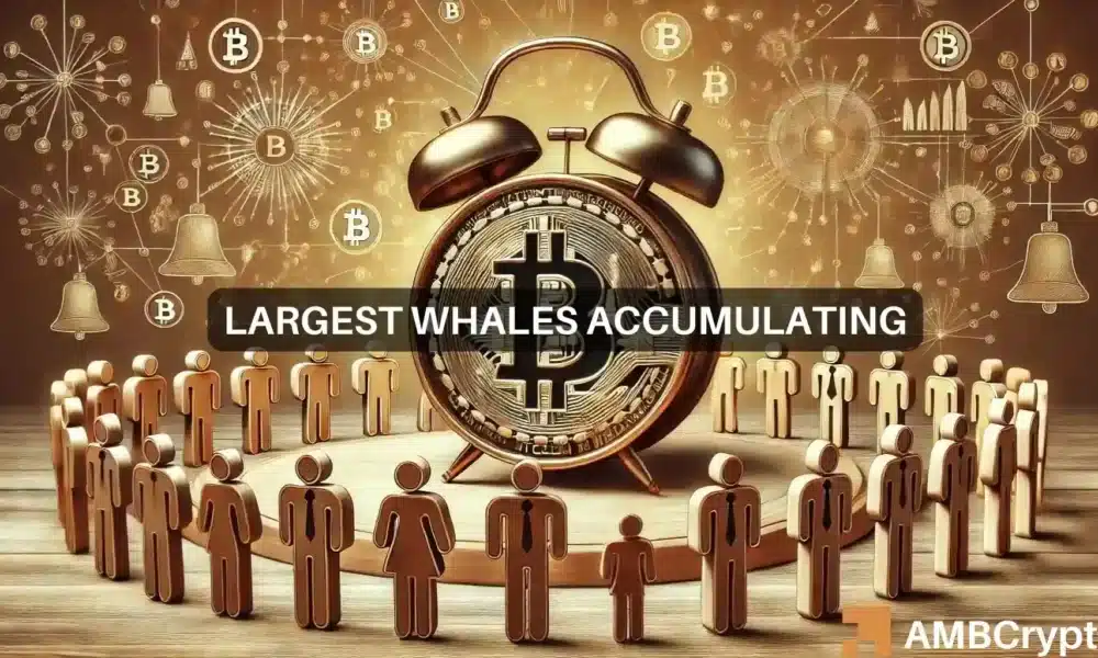 Cómo la acción de las ballenas de Bitcoin puede evitar que el precio de BTC caiga por debajo de los 60.000 dólares