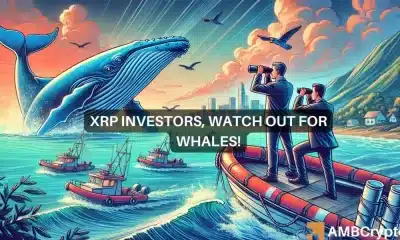 Las ballenas XRP mueven 157 millones de tokens de los exchanges: ¿señal de compra?