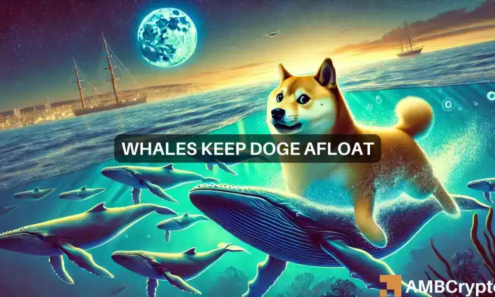 La ballena Dogecoin transfiere 103 millones de tokens DOGE: ¿Señal de una corrida alcista?