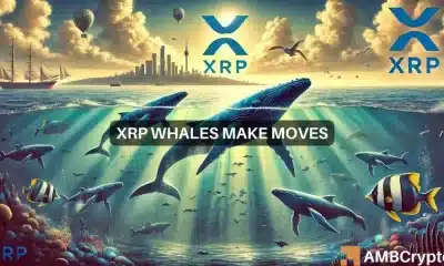 ¿Se avecina una liquidación de XRP? Las ballenas se deshacen de 46 millones de tokens y eso significa…