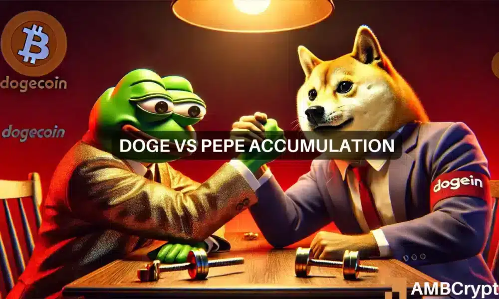 Dogecoin vs PEPE: ¡La comparación de la tendencia de acumulación ofrece un hallazgo sorprendente!