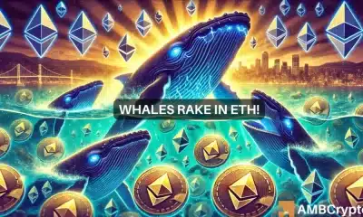 Ethereum: ¿Es AHORA el mejor momento para comprar? Estos movimientos de ballenas dicen…