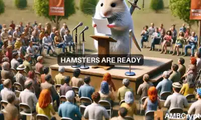 Todo lo que necesitas saber sobre el nuevo informe técnico de Hamster Kombat, con 300 millones de miembros