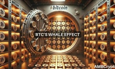 El movimiento de 1,9 millones de Bitcoin: ¡Por qué BTC es la "elección estrella" para las ballenas en este momento!