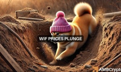Fuerte caída de Dogwifhat: por qué WIF podría caer por debajo de $1