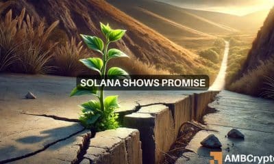 Solana: Por qué vender sus tenencias de SOL ahora podría no ser una buena idea