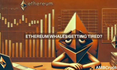 El sueño de los 3.000 dólares de Ethereum se desvanece a medida que los inversores ballenas se retiran: ¿qué ahora?