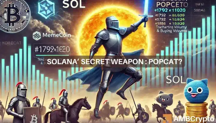 El pequeño aumento de Solana puede estar relacionado con la memecoin POPCAT: así es como