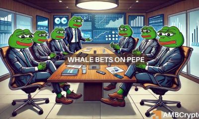 La histórica ballena PEPE se lleva 173 mil millones de tokens: ¿Deberías participar?