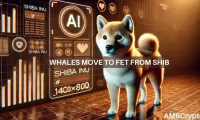 La ballena Shiba Inu intercambia SHIB por un token de IA FET por 3,5 millones de dólares: esta es la razón