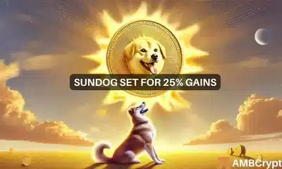 Sundog sube un 700%: ¿Qué impulsa este avance y podrá sostenerse?