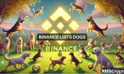 Cómo les fue a BNB y DOGS cuando Binance Launchpool incluyó la memecoin en su lista