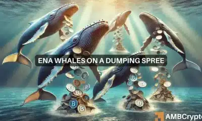 Las ballenas Ethena descargan 22 millones de ENA con una pérdida de 7 millones de dólares: ¿Se avecina un accidente?