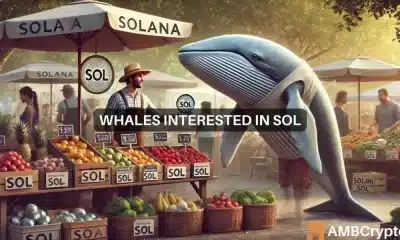 2 ballenas Solana mueven 8 millones de tokens: ¿SOL superará el nivel?