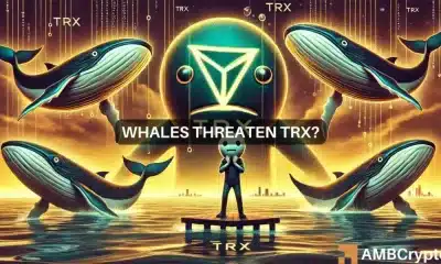 Tron cruza el máximo de 2024 por encima de $ 0,148, pero ¿las ballenas volverán bajista a TRX?