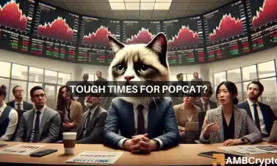 Evaluando por qué el precio de POPCAT puede correr el riesgo de caer un 15%