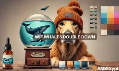 La ballena dogwifhat acumula $13 millones en tokens: ¿qué hay detrás de este movimiento?