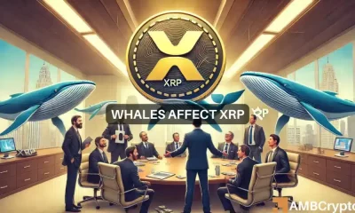 ¿XRP está listo para una ruptura? La actividad importante de las ballenas sugiere...