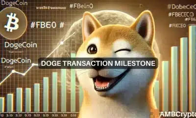 Las transacciones de Dogecoin alcanzan un nuevo máximo desde julio: ¿qué pasa con DOGE?