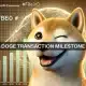 Las transacciones de Dogecoin alcanzan un nuevo máximo desde julio: ¿qué pasa con DOGE?