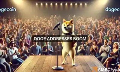 Dogecoin enfrenta resistencia en $0,11: ¿Las ballenas empujarán a DOGE hacia abajo?