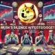 “Ni siquiera Elon puede impulsar a DOGE”, dice el ejecutivo de Shiba Inu – ¿Por qué?