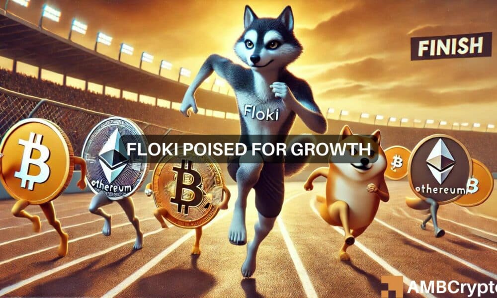 ¿Puede FLOKI superar a Bitcoin? Los datos de la temporada de Memecoin muestran...